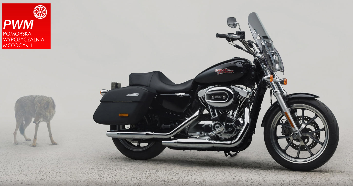 Harley Davidson Sportster 1200 XL wynajem rental wypożyczalnia rent