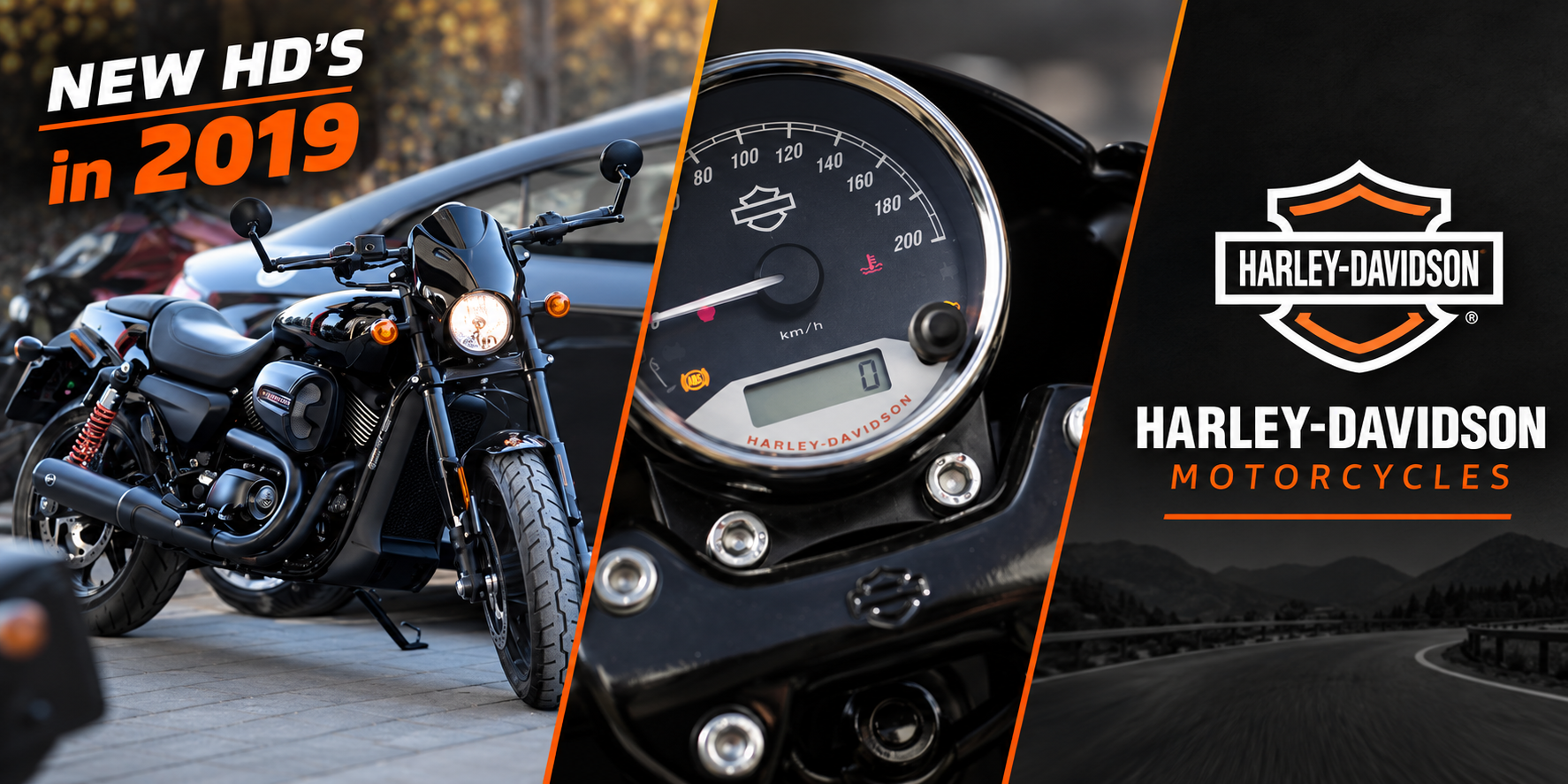wynajem harley davidson street rod pomorska wypożyczalnia motocykli
